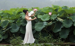 yellow韩国动漫免费观看